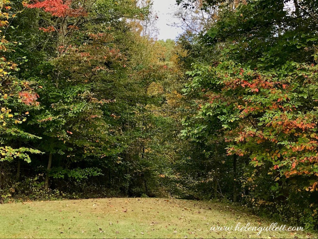 fall-2017-helengullett