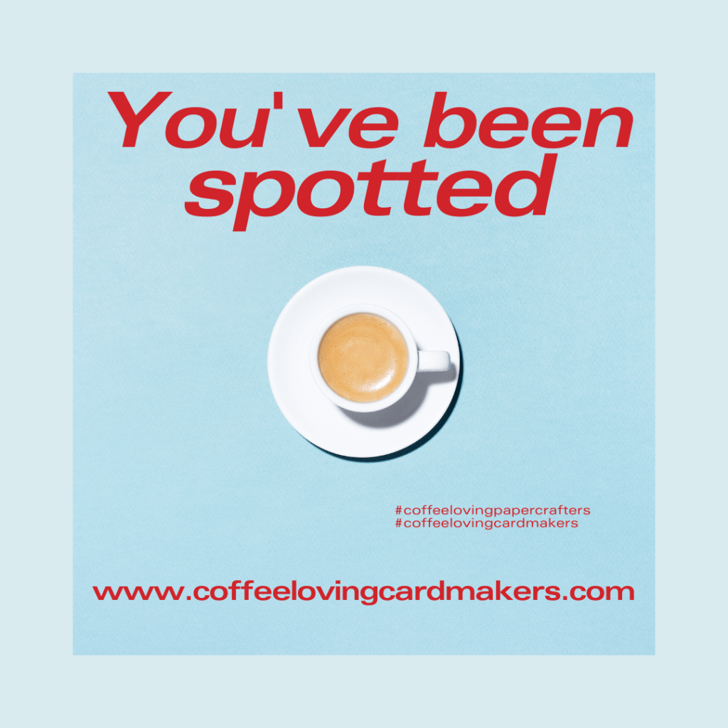 You’ve been Spotted!