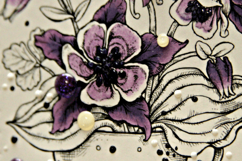 Power Poppy_Lisa Bzibziak_05.19.18e