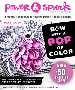 Power-and-Spark_Graphic_May18