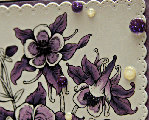 Power Poppy_Lisa Bzibziak_05.19.18f