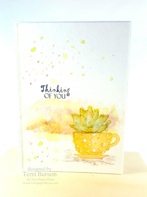 Terri Guest Designer 7.5 photo 1